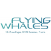 Flying Whales France Jobs Expertini